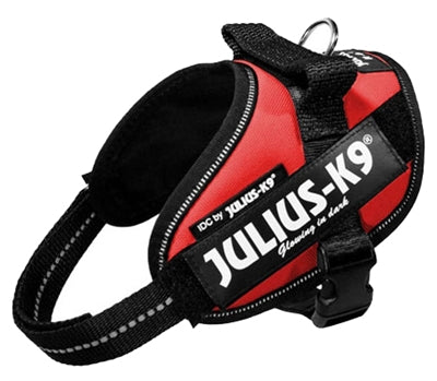Julius k9 Power-harnas / tuig voor labels rood