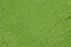 Komodo Caco zand groen