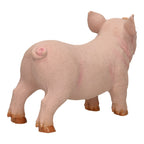 Boerderijdieren XL Varken