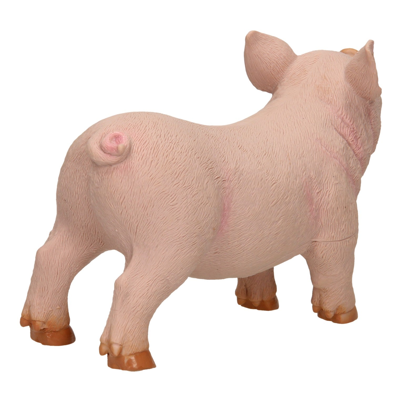 Boerderijdieren XL Varken