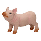 Boerderijdieren XL Varken