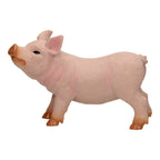 Boerderijdieren XL Varken