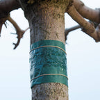 Nature Nature Insecten kleefband 150 cm 6060134