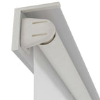 Vidaxl rolgordijn voor douche zeester 120x240 cm