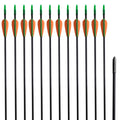 Vidaxl recurveboog standaard met pijlen 30 0,6 cm glasvezel 12 stuks