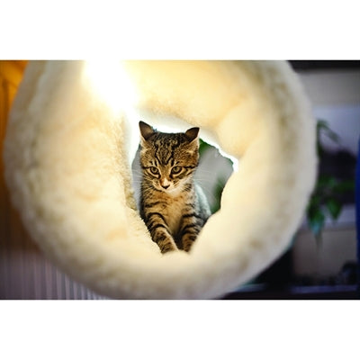 Rosewood Radiator tunnel voor kat wit