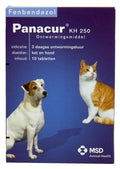 Panacur Hond kat