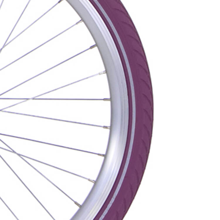 Alpina Velg 24 J19SG zilver