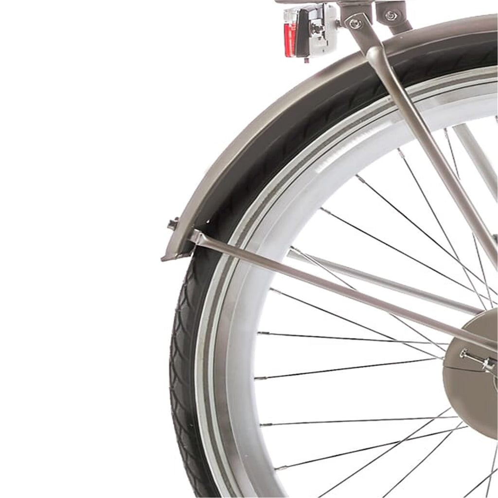 Alpina Spatbord set 24 Clubb gold met matt