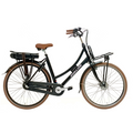 E-Cargo N3 50cm matzwart