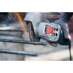 Bosch Prof doorslijpschijf in blik recht Inox RVS 125 mm(10)