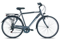 Shimano Cesenatico H 58 7 sp antra grijs
