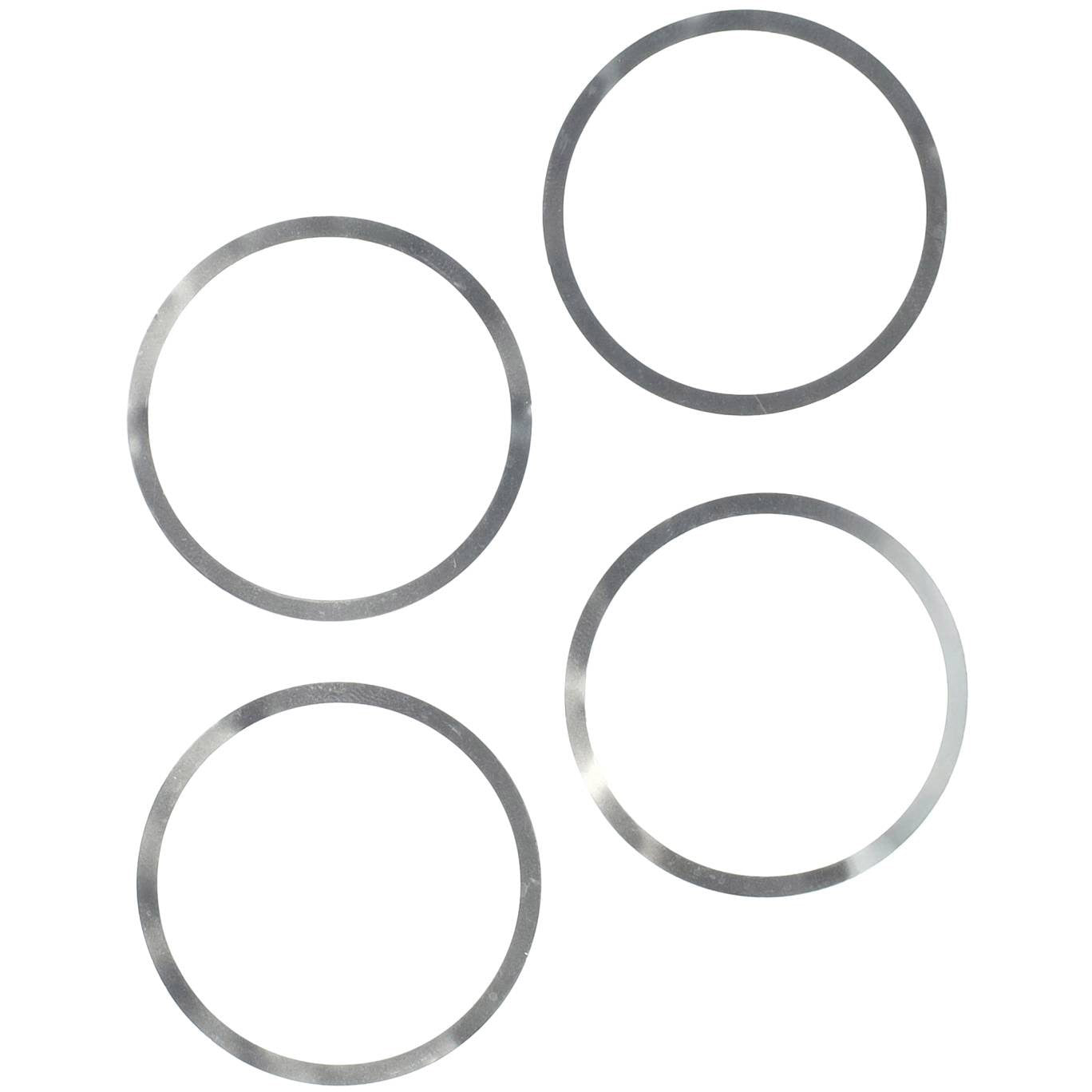 Elvedes remd elv vulschijf db cl is rvs 0.1mm ds a 4