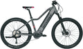 Schwalbe MaxBike Freya 2.0 E MTB 40 cm Grey