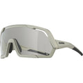 Alpina rocket v - sports glasses