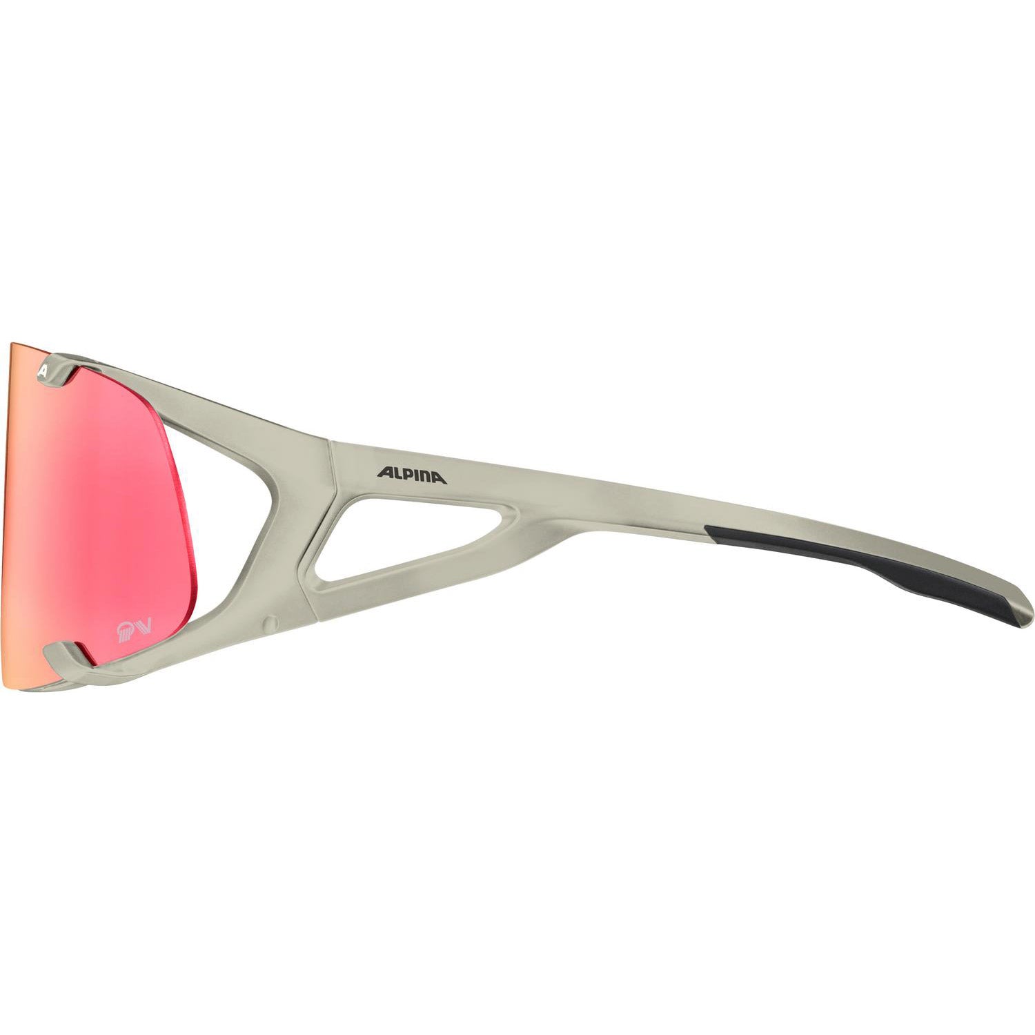 Alpina sports sportbril hawkeye qv grijs