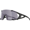 Alpina sports sportbril hawkeye q-lite v zwart