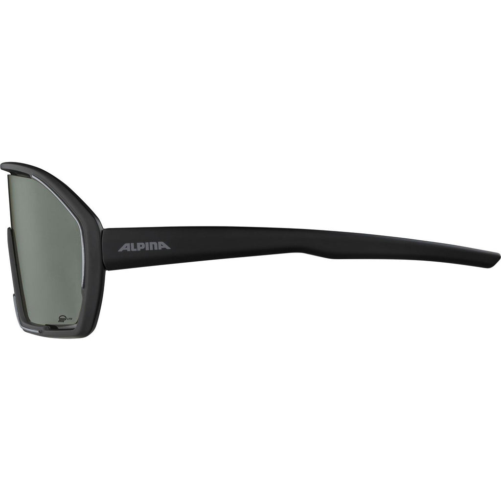Alpina sports sportbril bonfire q-lite zwart