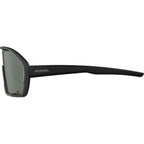 Alpina sports sportbril bonfire q-lite zwart