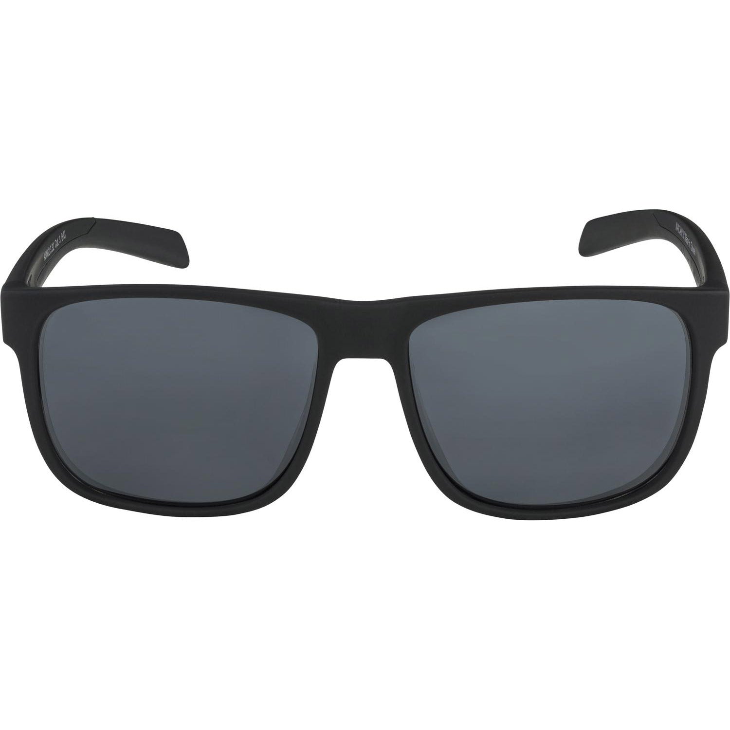 Alpina Bril NACAN III all black/matt black mir.Cat.3