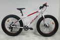 FatBike 26