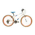 Shimano Raleigh POP H 33 cm zilver