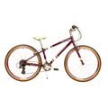 Shimano Raleigh POP H 36 cm Purper