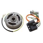 Electronische Ontsteking Bosch Puch Maxi UN10349