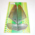 RAW-glas-set (4-delig) Aprilia  SR O.M. carbon
