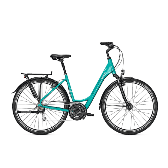 Continental Raleigh Chester D 50 cm Bluegreen 21 sp