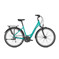 Continental Raleigh Chester D 55 cm Bluegreen 21 sp