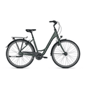 Raleigh Devon D 55 cm Nexus 8 Hydro