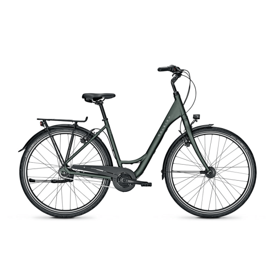 Raleigh Devon D 55 cm Nexus 8 Hydro