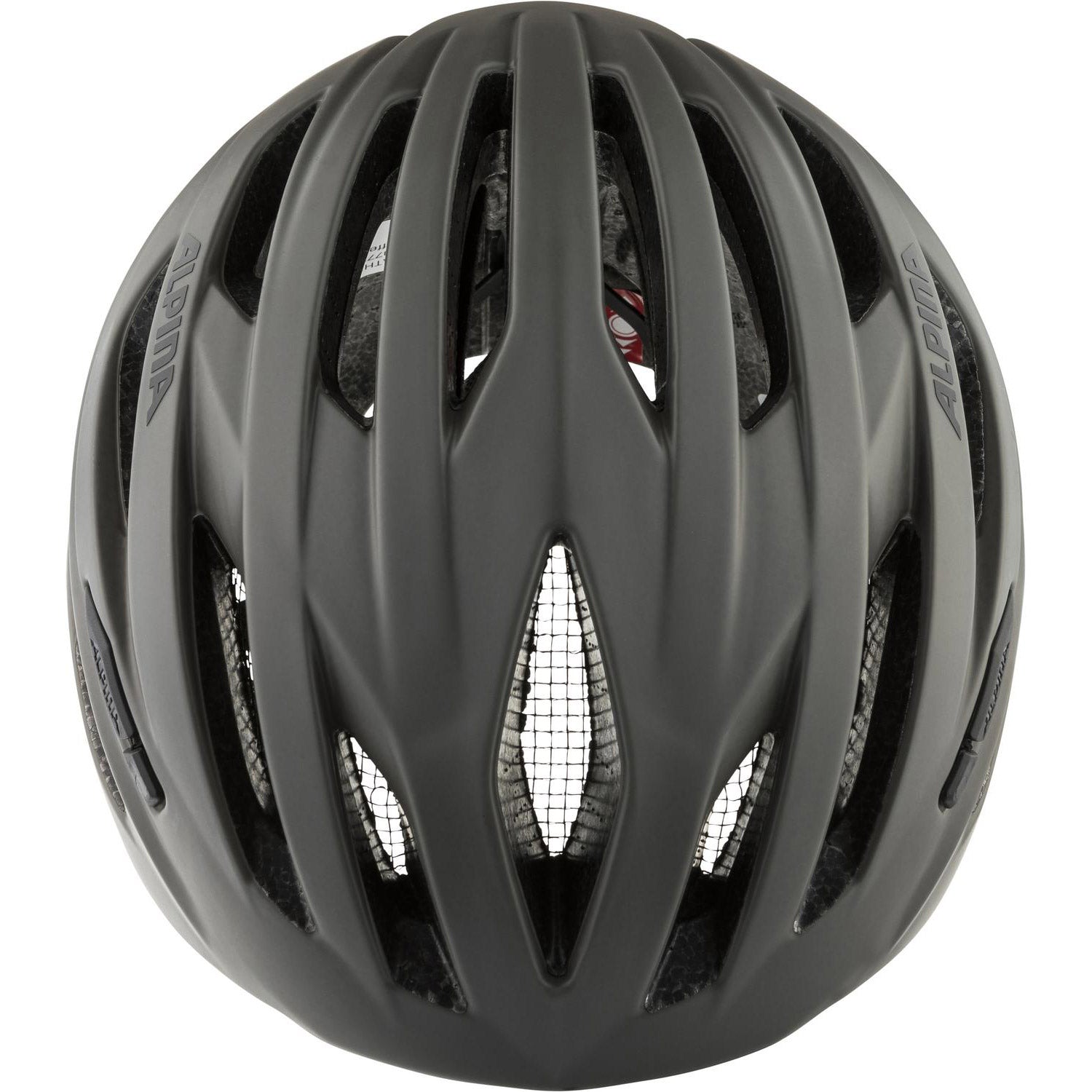 Alpina sports race helm path 51-56 mat grijs