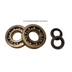 Krukas Lager/keerringset VWP Velofax/Vespino SKF C4
