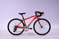 Elite Roubaix Race H 35 cm 14 sp Rood