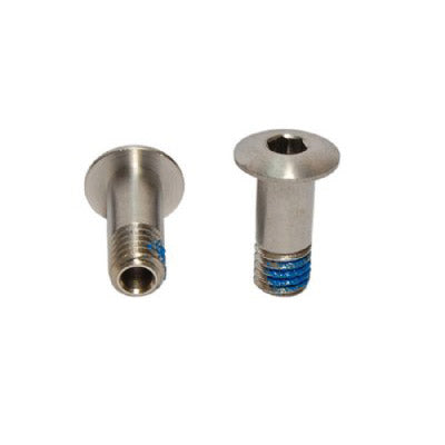 Campagnolo Set derailleurwielboutjes