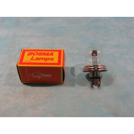 Bosma Lamp 12V-45/40W P45T 501201 p/st