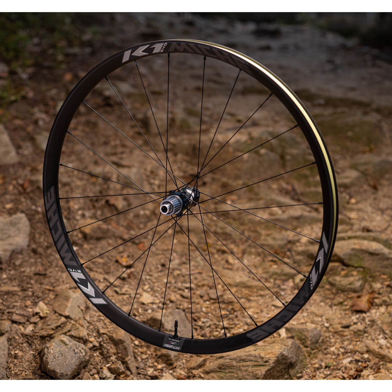 Miche wielset k1 29er boost shim. spline tubeless 110 148