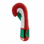 Speed Pro bokshandschoenen rood/groen maat 16 oz
