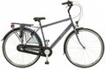 Amigo Bright 28 Inch 50 cm Heren 3V V-Brakes Antraciet