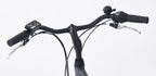 E-Vibe D1-S 28 Inch 48 cm Dames 7V V-Brakes Matgrijs