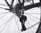 E-Vibe D1+ 460Wh 28 Inch 51 cm Dames 7V V-Brakes Matgrijs