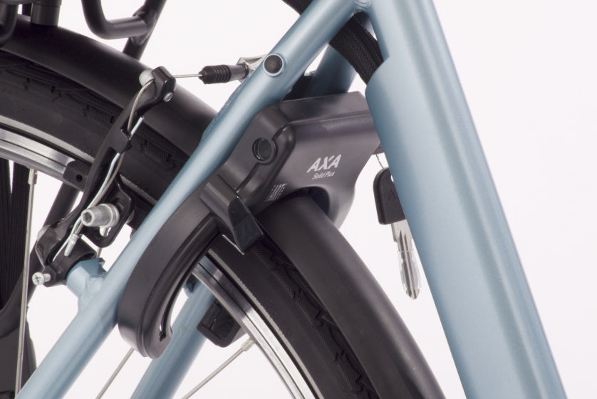 E-Vibe D1 460Wh 28 Inch 54 cm Dames 7V V-Brakes Matblauw