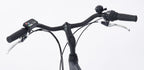 E-Vibe D1 418Wh 28 Inch 54 cm Heren 7V V-Brakes Matgrijs
