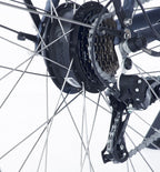 E-Vibe D2 28 Inch 46 cm Dames 7V V-Brakes Blauwgrijs