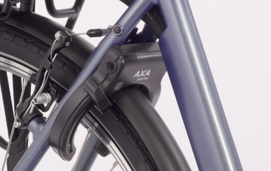 E-Vibe D1 460Wh 28 Inch 51 cm Dames 7V V-Brakes Blauwgrijs