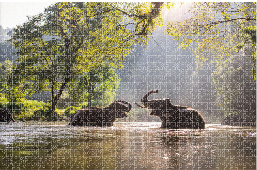 puzzel Elephants 73 x 48 cm karton 1000 stukjes