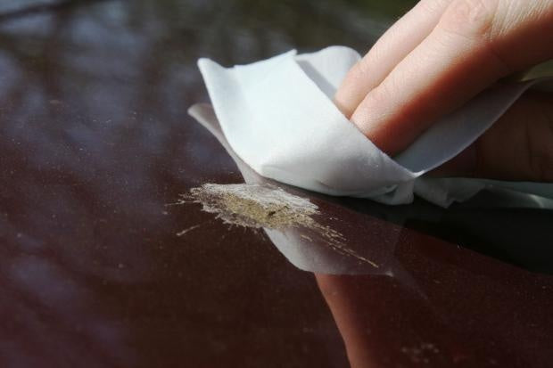 Autoglym bird dropping wipes