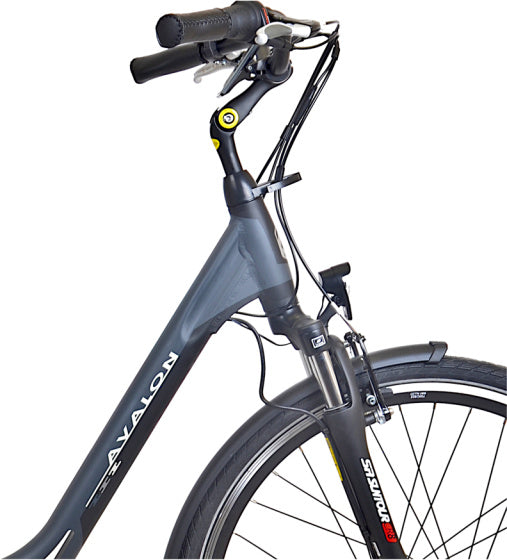 E-City+ 28 Inch 54 cm Dames 7V Rollerbrake Antraciet